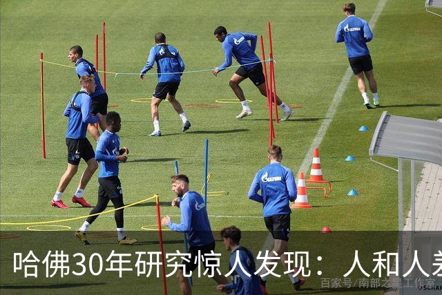哈佛30年研究惊人发现:人和人差距,根本不是努力,是吃哪种苦